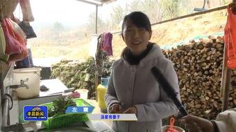 孝昌最新事件大爆料,真相与幕后黑幕全曝光  第3张